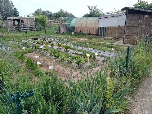 Progetto URSOILL